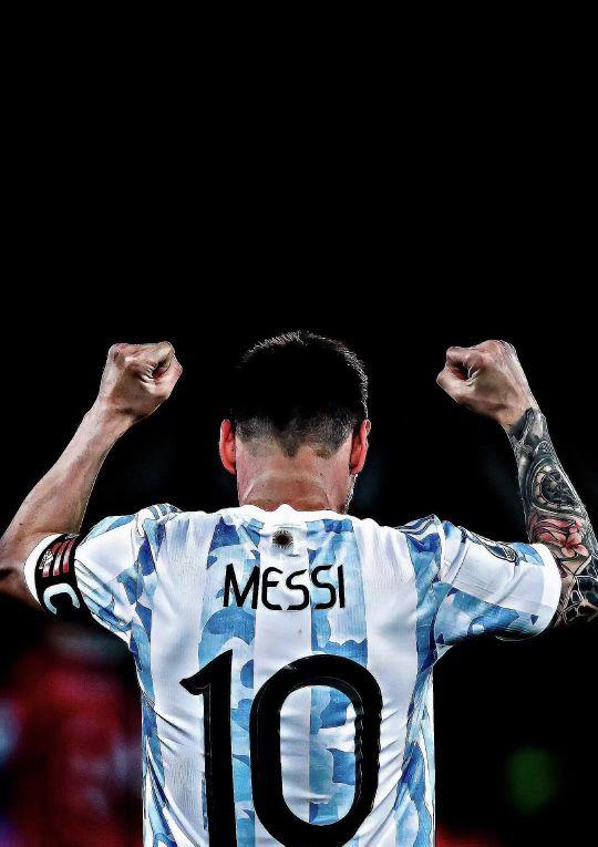 长三角马术联赛总决赛杭州收官 赛事流量转为消费留量（长三角马术联赛总决赛在杭州落幕 赛事流量沉淀为消费留量）